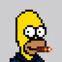 HomerPunks6702