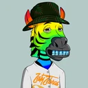 ZESTYZEBRA5162