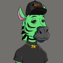 ZESTYZEBRA3588