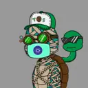 TTSTurtle2305