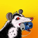 Possum #3649