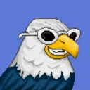 Hawk #0123
