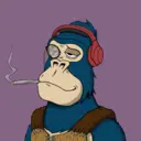ChilledKong8059