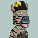 ZESTYZEBRA2304