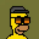 HomerPunks8757