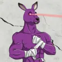 kangaroofightsociety#868