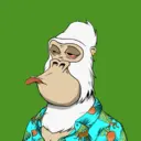 ChilledKong8737
