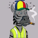 ZESTYZEBRA4965