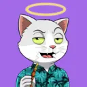 CATSTANBUL158