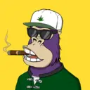 ChilledKong5189