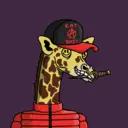 GenuineGiraffe_1536