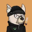 SavageBears2325
