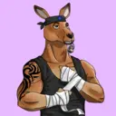 kangaroofightsociety#3142