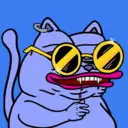 CHONKS1049