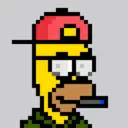 HomerPunks9365