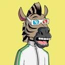 ZESTYZEBRA4772
