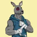 kangaroofightsociety#3880