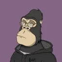 ChilledKong7175