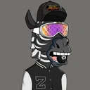 ZESTYZEBRA4692
