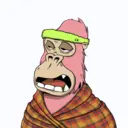 ChilledKong2788