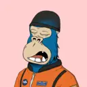 ChilledKong7362