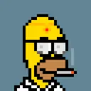 HomerPunks5071
