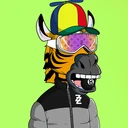 ZESTYZEBRA5088