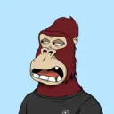 ChilledKong3842