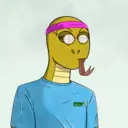 Skynz 2022