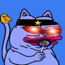 CHONKS2864