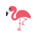 🦩