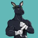 kangaroofightsociety#4035