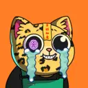crycat89