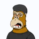 ChilledKong4452