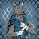 kangaroofightsociety#417