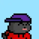pixel seal 2439