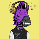 ZESTYZEBRA79