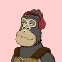 ChilledKong5923