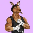 kangaroofightsociety#452