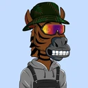 ZESTYZEBRA2131