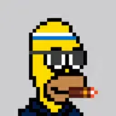 HomerPunks4817