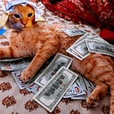 richcat