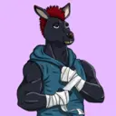 kangaroofightsociety#4776