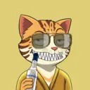 CATSTANBUL962