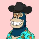 ChilledKong4869