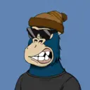 ChilledKong0254