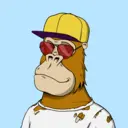 ChilledKong3355