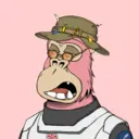 ChilledKong8206