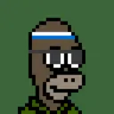 HomerPunks9857