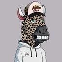 ZESTYZEBRA2014